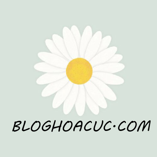 bloghoacuc.com